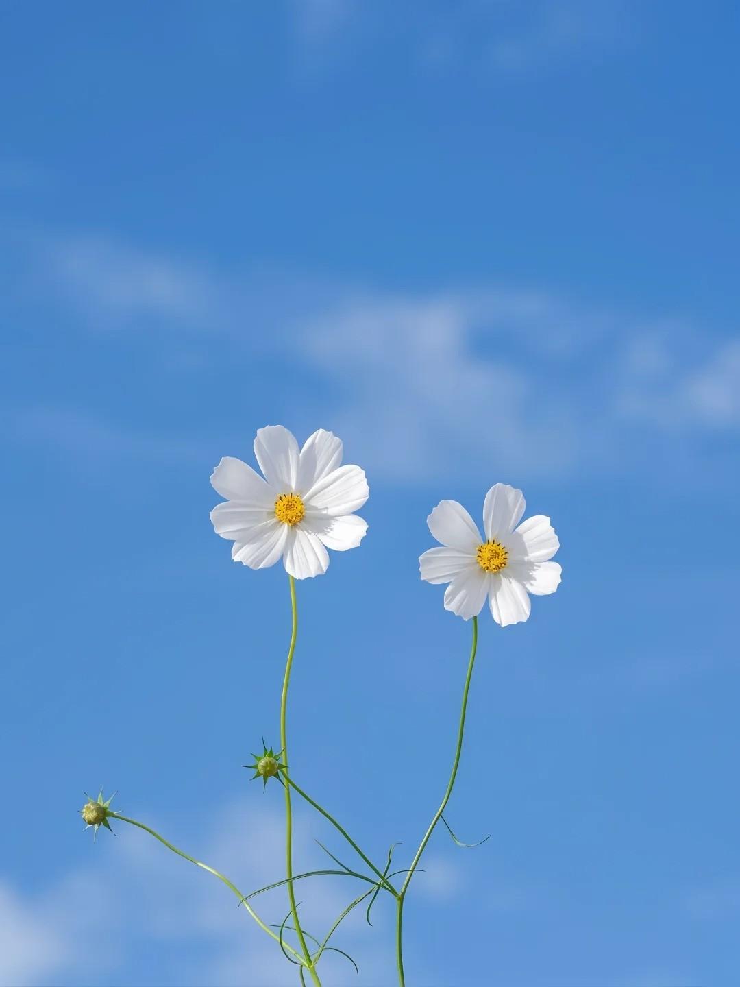 怀孕九月,丈夫带我去漂流
